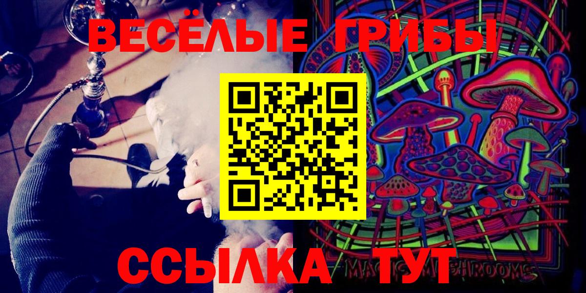 Псилоцибиновые грибы мицелий Мурино