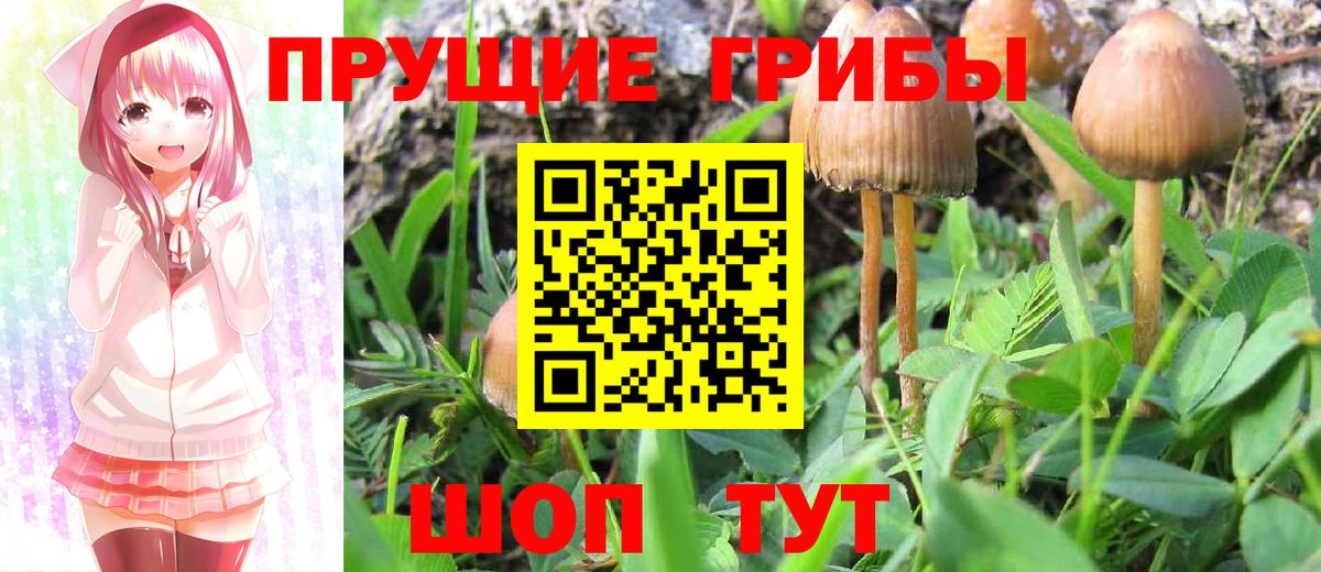 Мурино  Псилоцибиновые грибы прущие грибы  Вход с VPN 